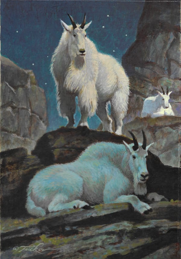 Ezra Tucker, Alpine Moon Light