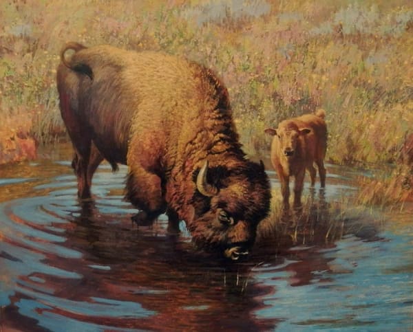 Ezra Tucker, A Cool Drink