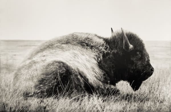 Kenneth Peloke, Gentle Giant