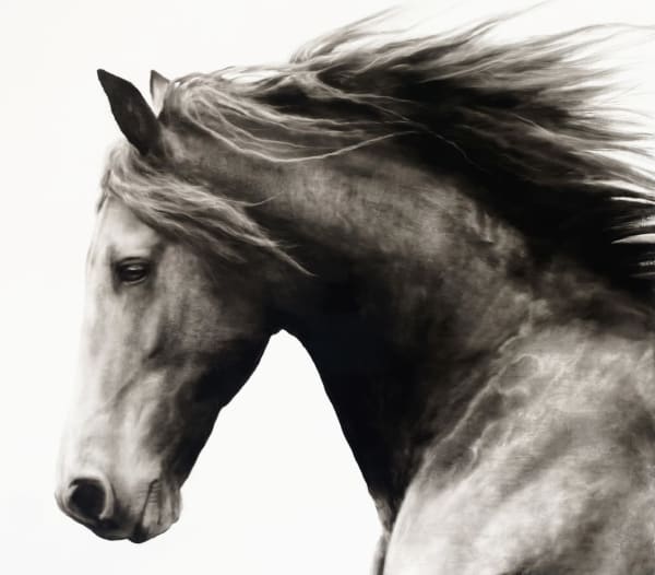 Kenneth Peloke, Wind chaser