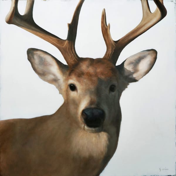 George Hill, Symbiosis Stag