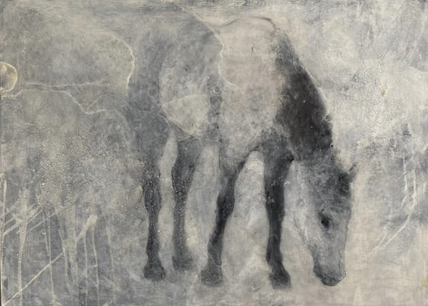 Lex Lucius, HH2 Horse Grazing