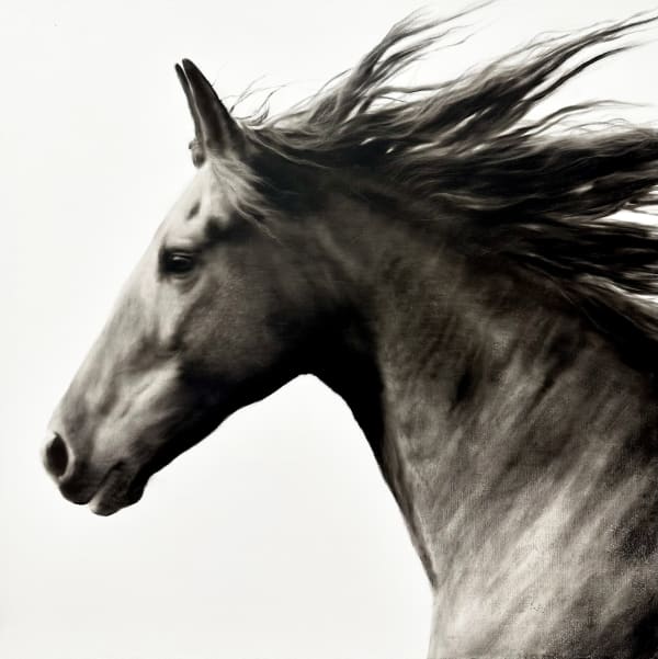 Kenneth Peloke, Born Free