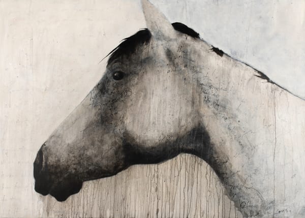 Lex Lucius, Musings from the Paddock