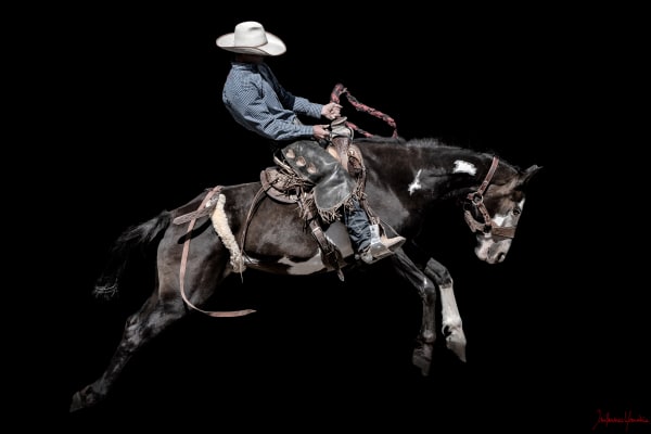 Guillaume Beau de Lomenie - Charlie