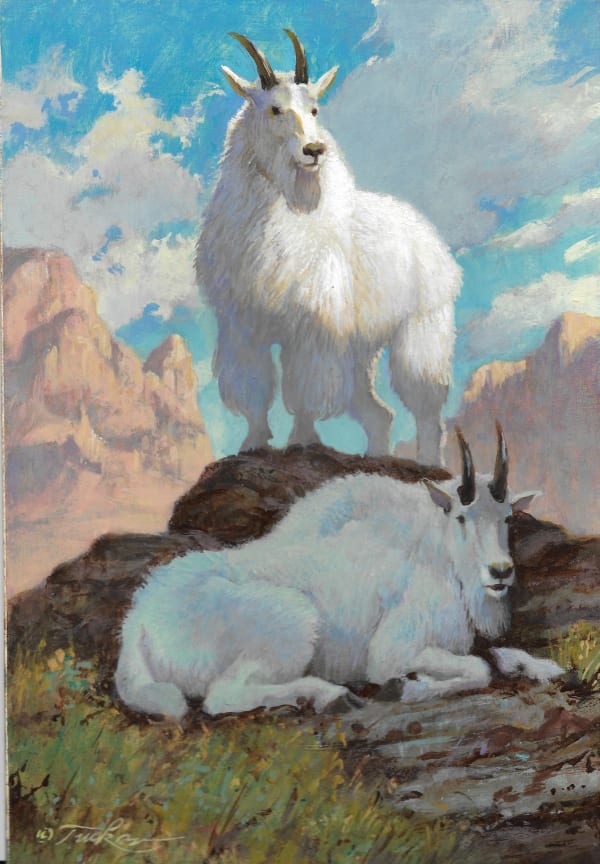 Ezra Tucker, Alpine Morning