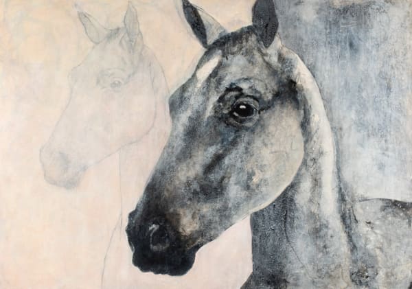 Lex Lucius, Solstice Doubled