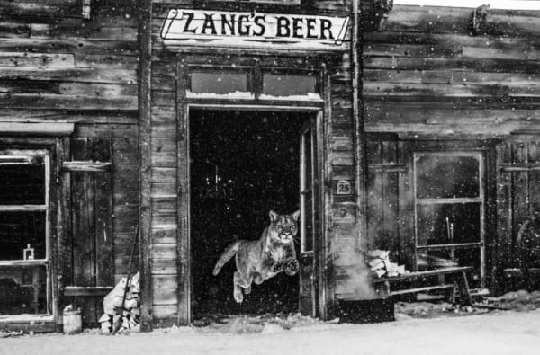 David Yarrow, In the Bleak Midwinter