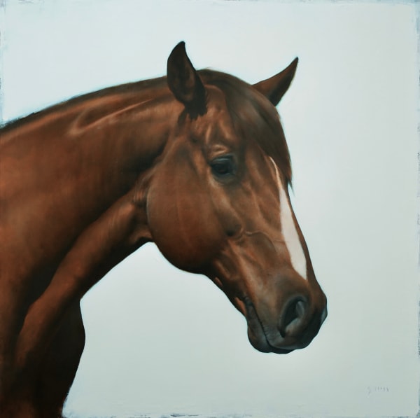 George Hill, Symbiosis Horse II