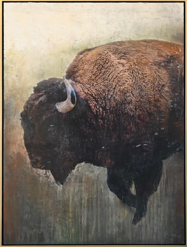 Ed Nash, Bison 2