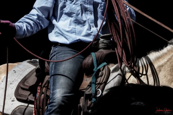 Guillaume Beau de Lomenie, Green Ribbon