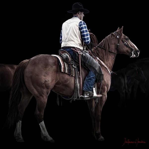 Guillaume Beau de Lomenie, Keep an Eye on