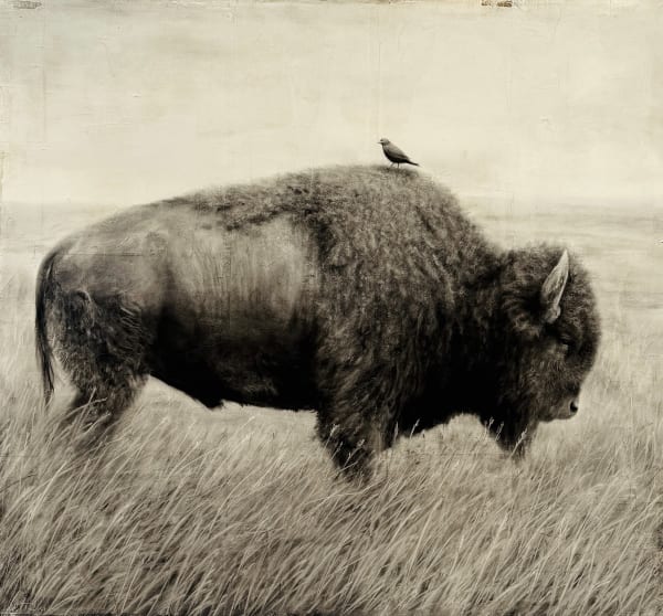 Kenneth Peloke, Sing Me A Song