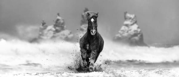 David Yarrow, My Perfect Storm