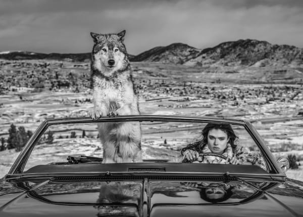 David Yarrow, The Richest Hill in The World