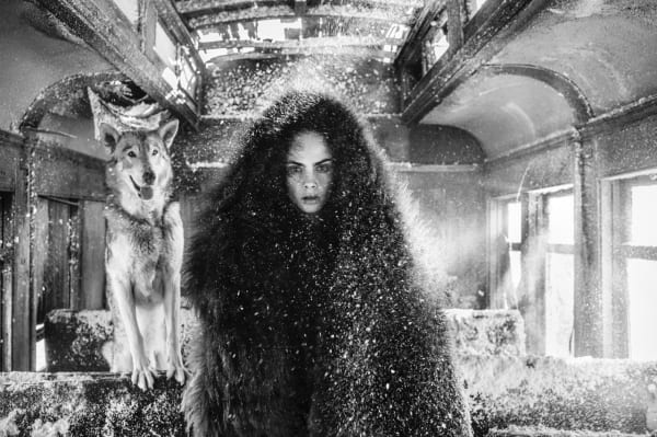 David Yarrow, The Girl Who Cried Wolf