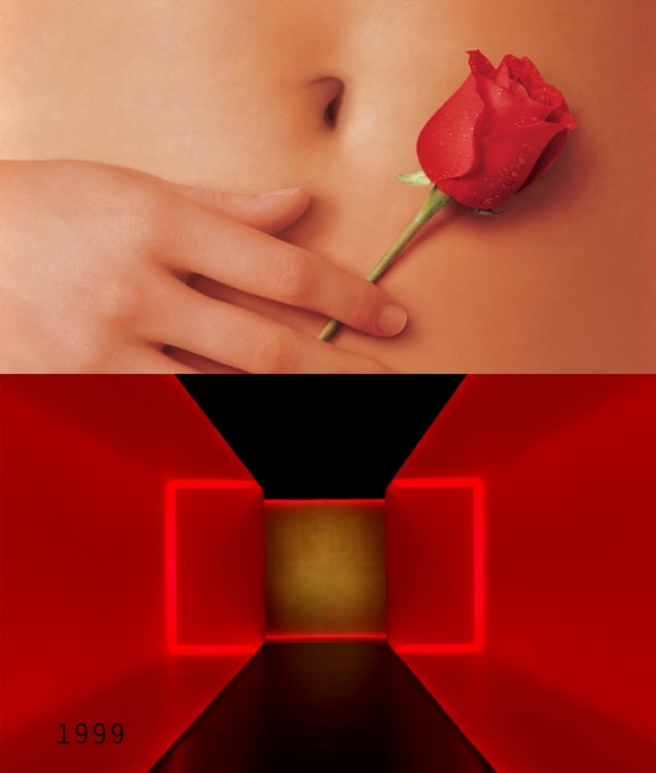 Bonnie Lautenberg, 1999: American Beauty and James Turrell