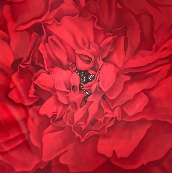 David Chuquimarca, Spoken From the Heart