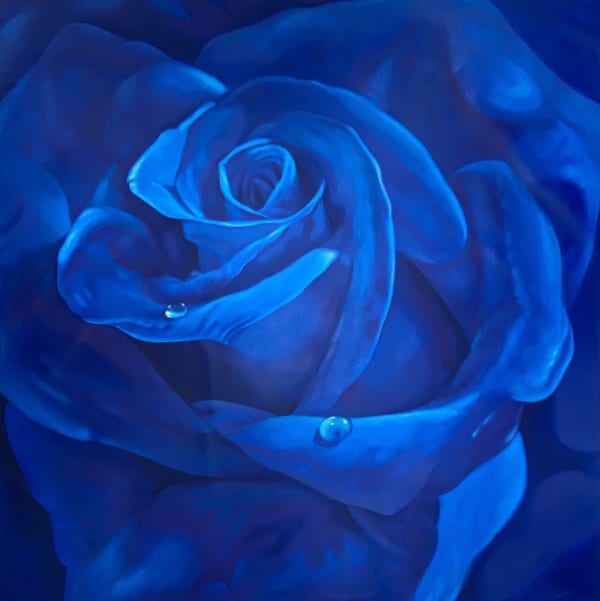 David Chuquimarca, Glimpse