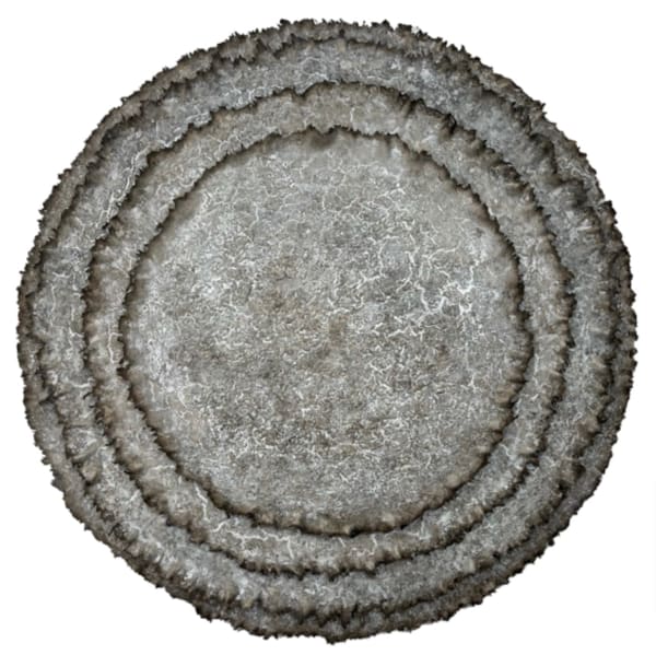 Collazo Collection, Sculpture X