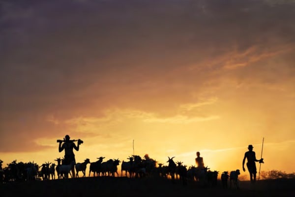 Cristina Mittermeier, Dawn Herders , 2023