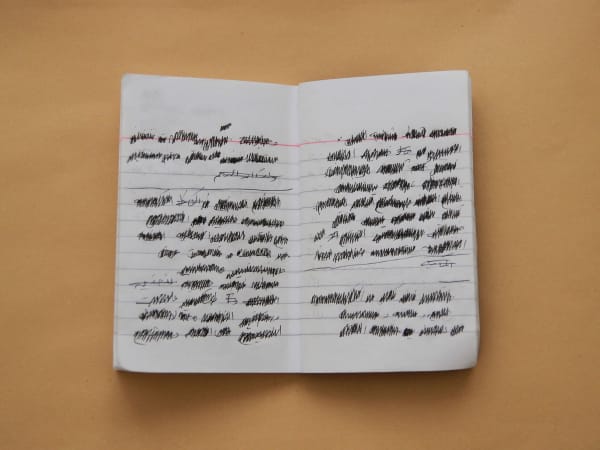 Ahmed Kamel, Did not happen - Remnants of Diaries 2, 2016