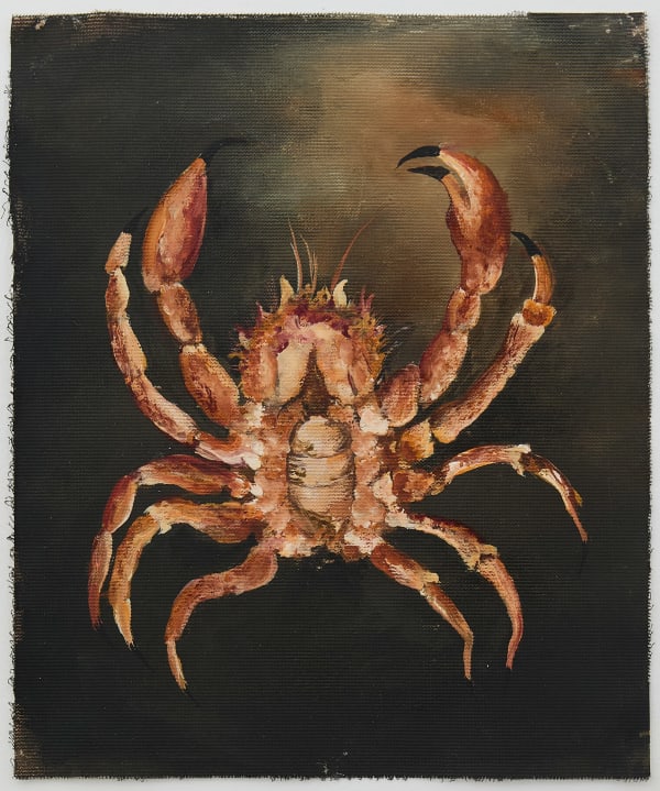 Fally Sène Sow, Ñama-ñama (ingrédient) 23, 2025