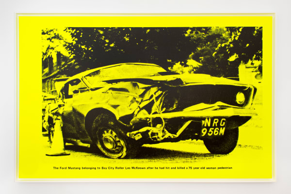 Steven Shearer, NRG, 2013