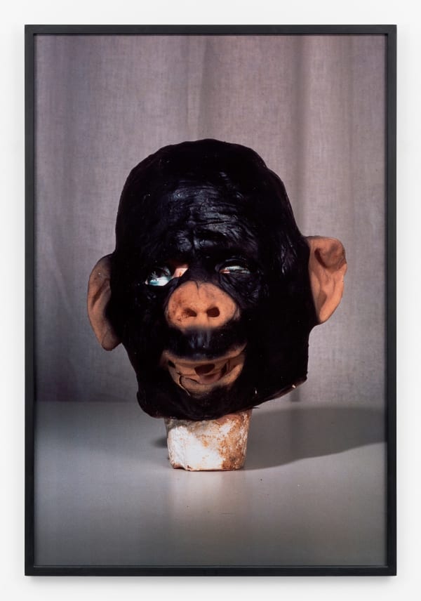 Paul McCarthy, Propo series : Monkey Man, 1994