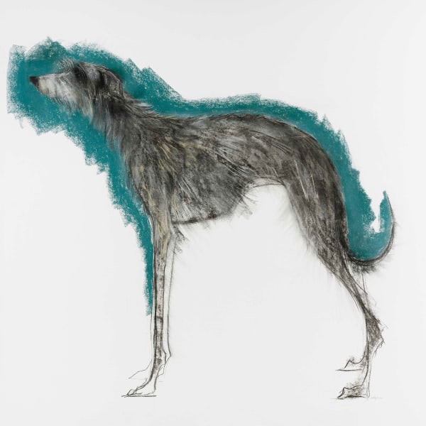 Sally Muir, Jet (Hungerford Gallery)
