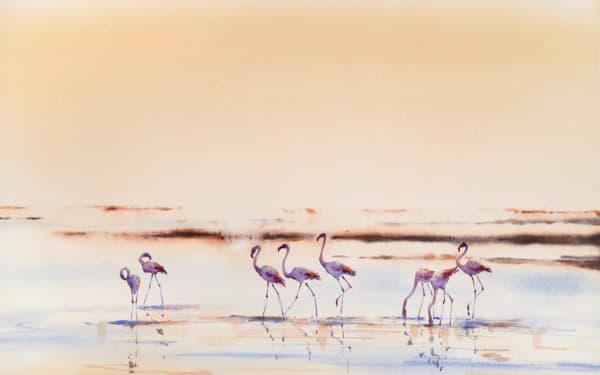 Julia Cassels, Camargue Marshes