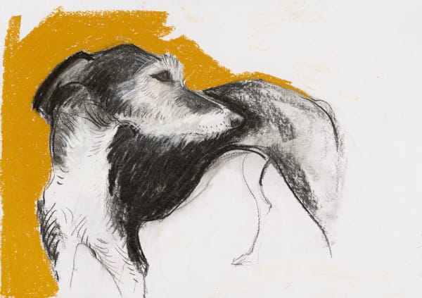 Sally Muir, Churra II
