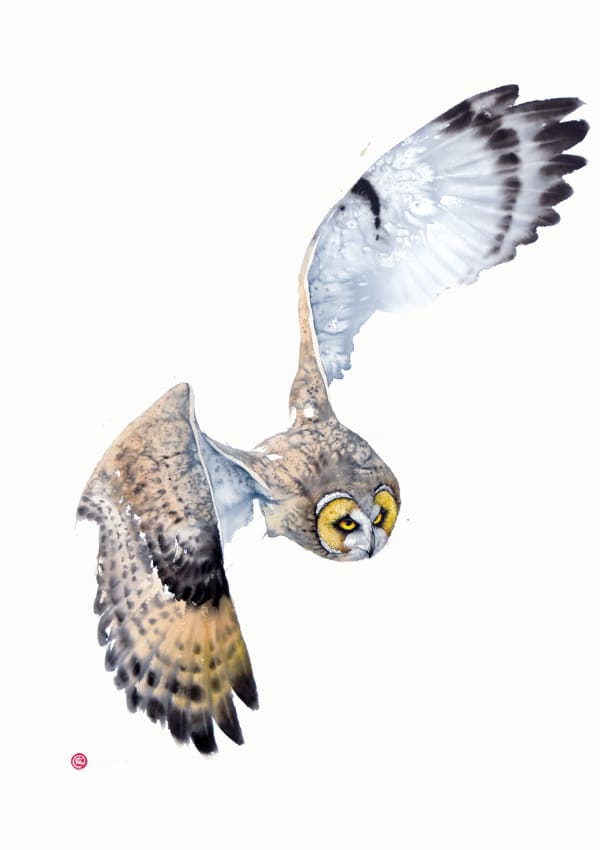 Karl Martens, Short-Eared Owl
