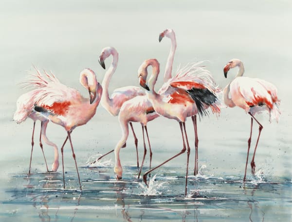 Julia Cassels, Flamingo Time