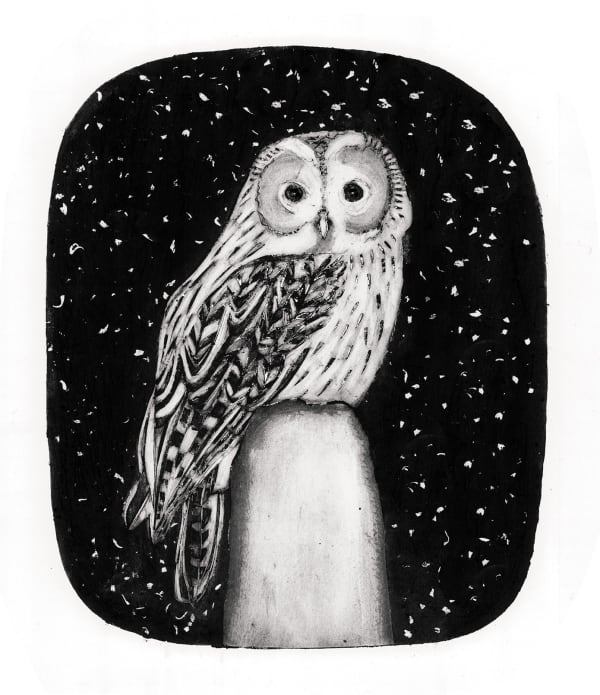 Beatrice Forshall, Tawny Owl (Unframed)