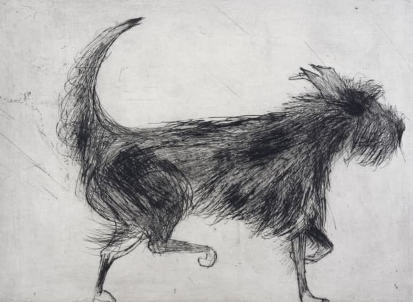Kate Boxer, Fig (Unframed)