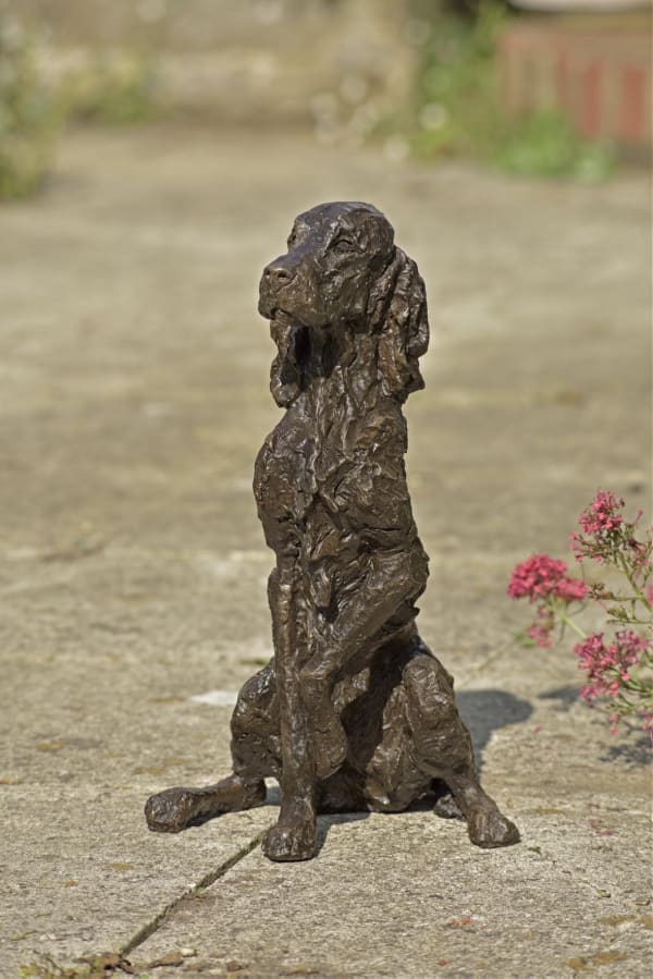 Rosemary Cook, Iris - Irish Setter