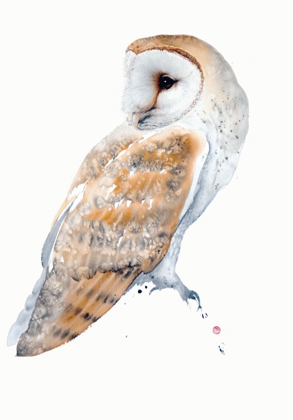 Karl Martens, Barn Owl
