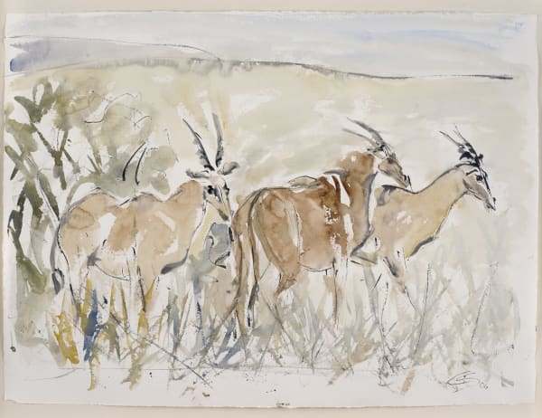 Christine Seifert, Eland Antelope (Hungerford Gallery)
