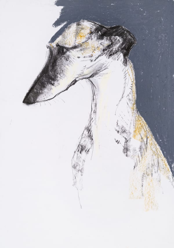 Sally Muir, Chica
