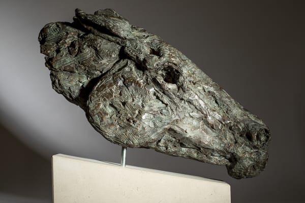 Jane Shaw, Wild - Head of a Horse