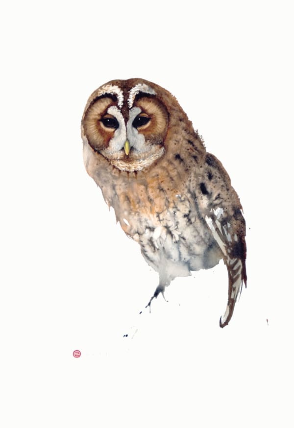 Karl Martens, Tawny Owl