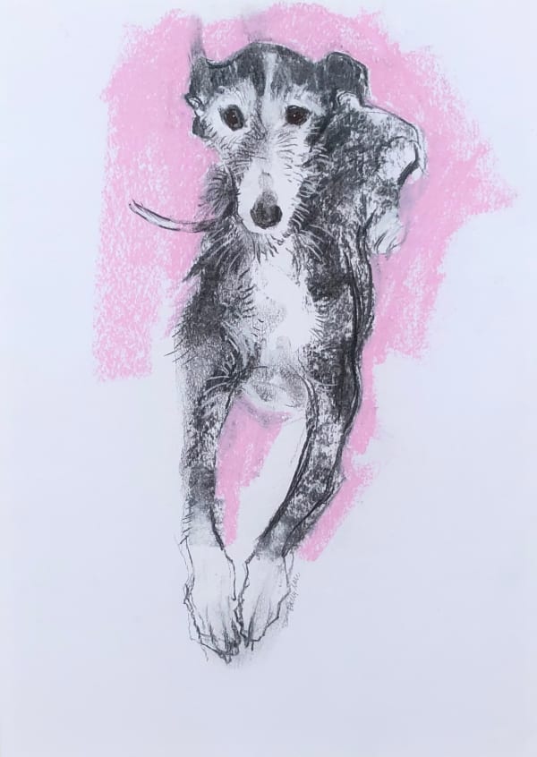 Sally Muir, Lily (London Gallery)