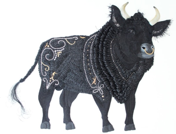 Karen Nicol, Stud Bull