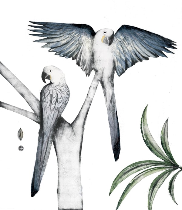 Beatrice Forshall, Hyacinth Macaws (Unframed)
