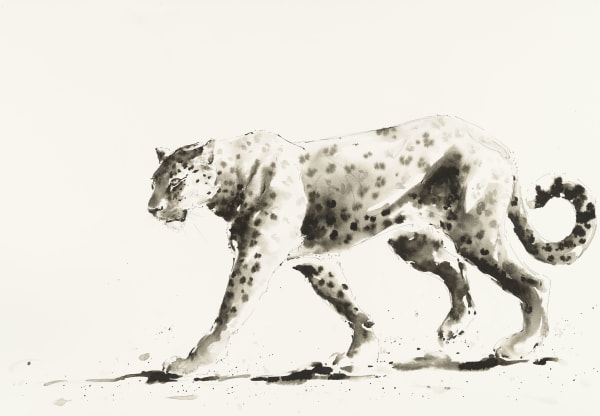 Julia Cassels, Leopard Walk