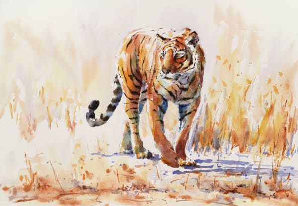 Julia Cassels, Tiger Tiger