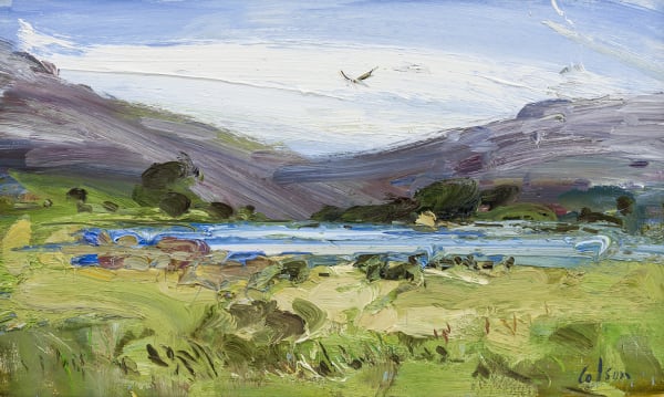 Richard Colson, Hovering Bird on a Loch