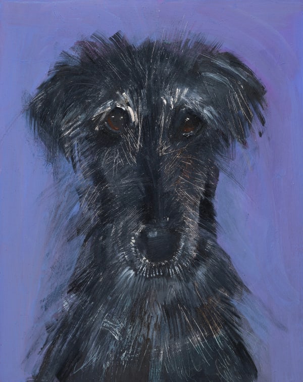 Sally Muir, Bruce (Unframed)