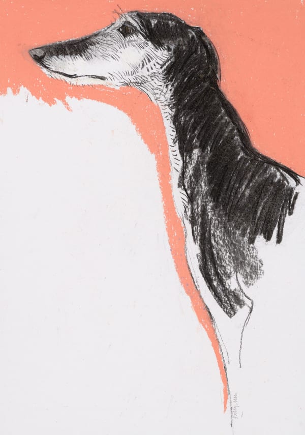 Sally Muir, Dolores